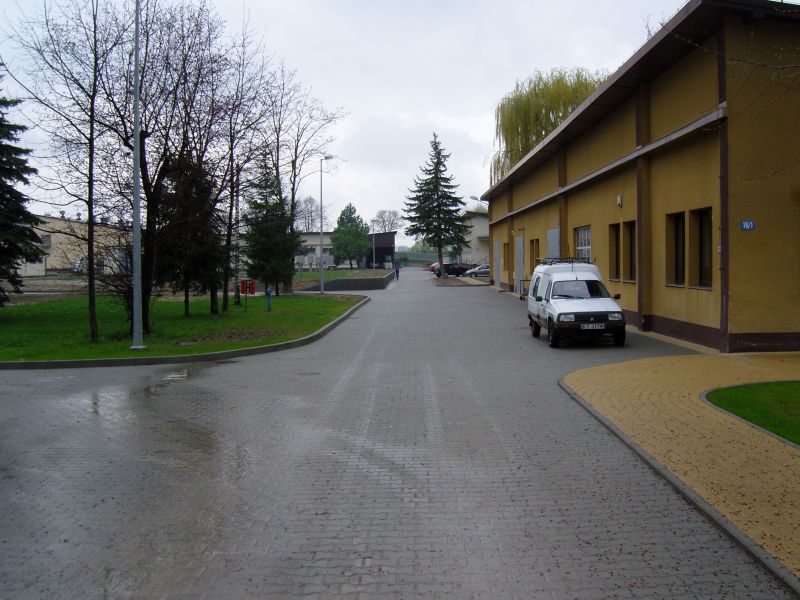SNC13972