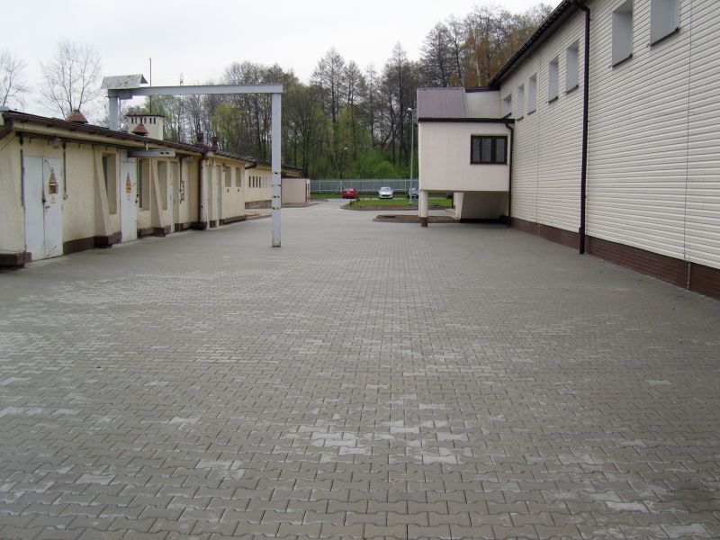 SNC13986